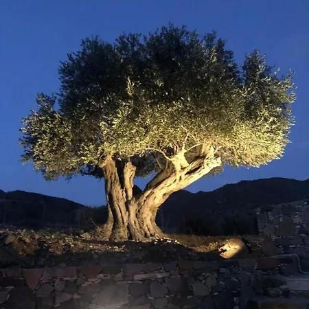 Luxury Pluto Stunning Mountain Views