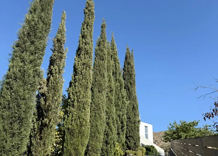 Luxury Pluto Stunning Mountain Views * Ora